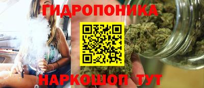 гашик Кунгур