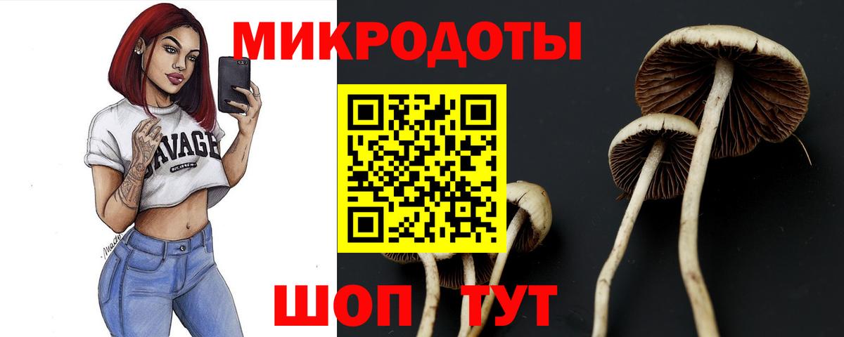 Галлюциногенные грибы мицелий  наркота  Вход с VPN  Кисловодск  Псилоцибиновые грибы ЛСД 